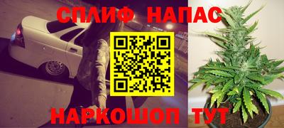МДПВ Брянск